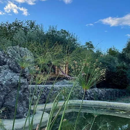 Aprisa Garden Bed & Breakfast