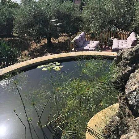 Aprisa Garden