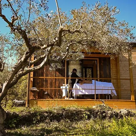 לינה וארוחת בוקר Aprisa Garden 3*