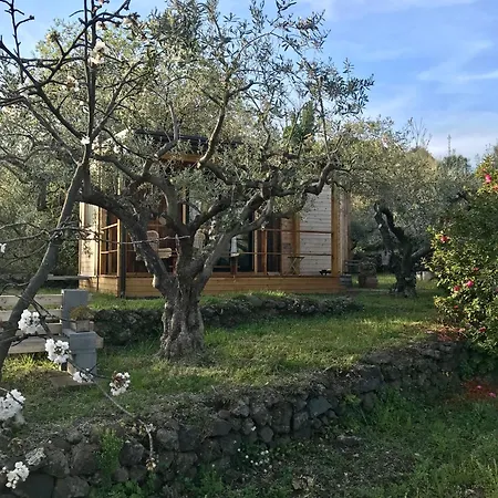 Aprisa Garden Presa