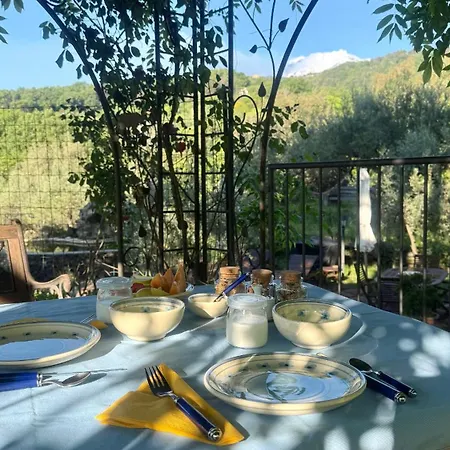Aprisa Garden Presa